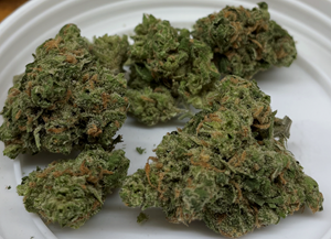 District 2 - BlueBerry Barz (I) 3.5g